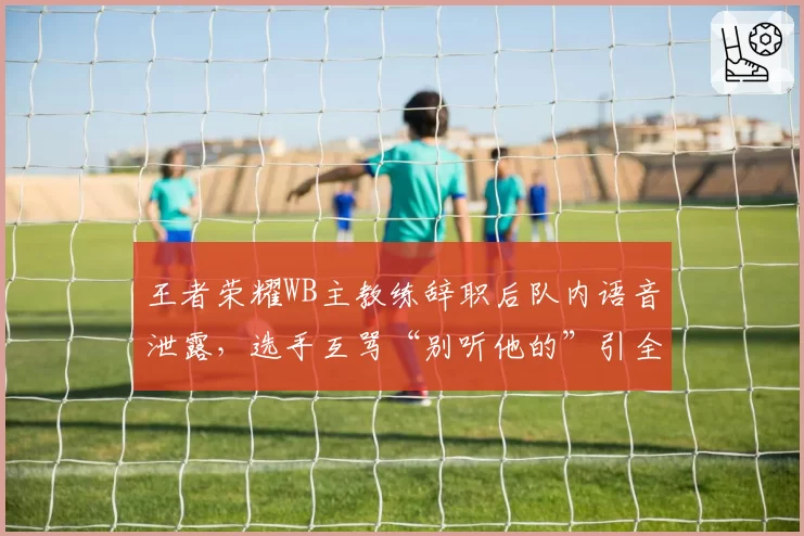 王者荣耀WB主教练辞职后队内语音泄露,选手互骂“别听他的”引全网热议