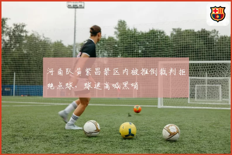 河南队黄紫昌禁区内被推倒裁判拒绝点球,球迷高喊黑哨