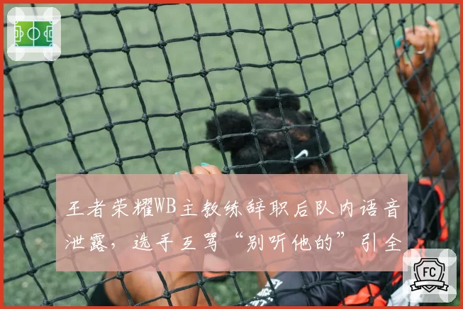 王者荣耀WB主教练辞职后队内语音泄露，选手互骂“别听他的”引全网热议